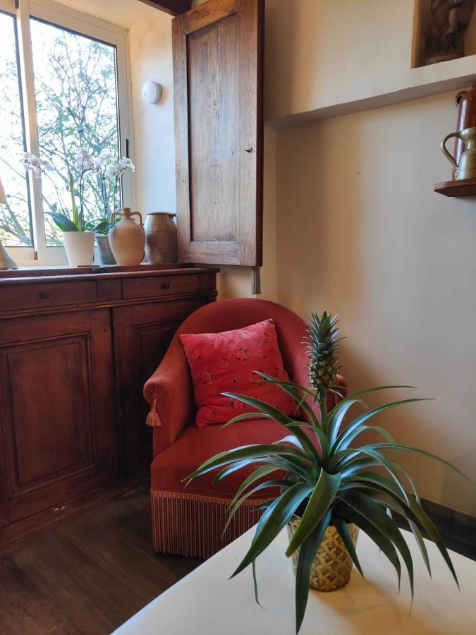 Maison Ancienne Romantique Avec Terrasse Panoramique Vaison-la-Romaine Exterior photo